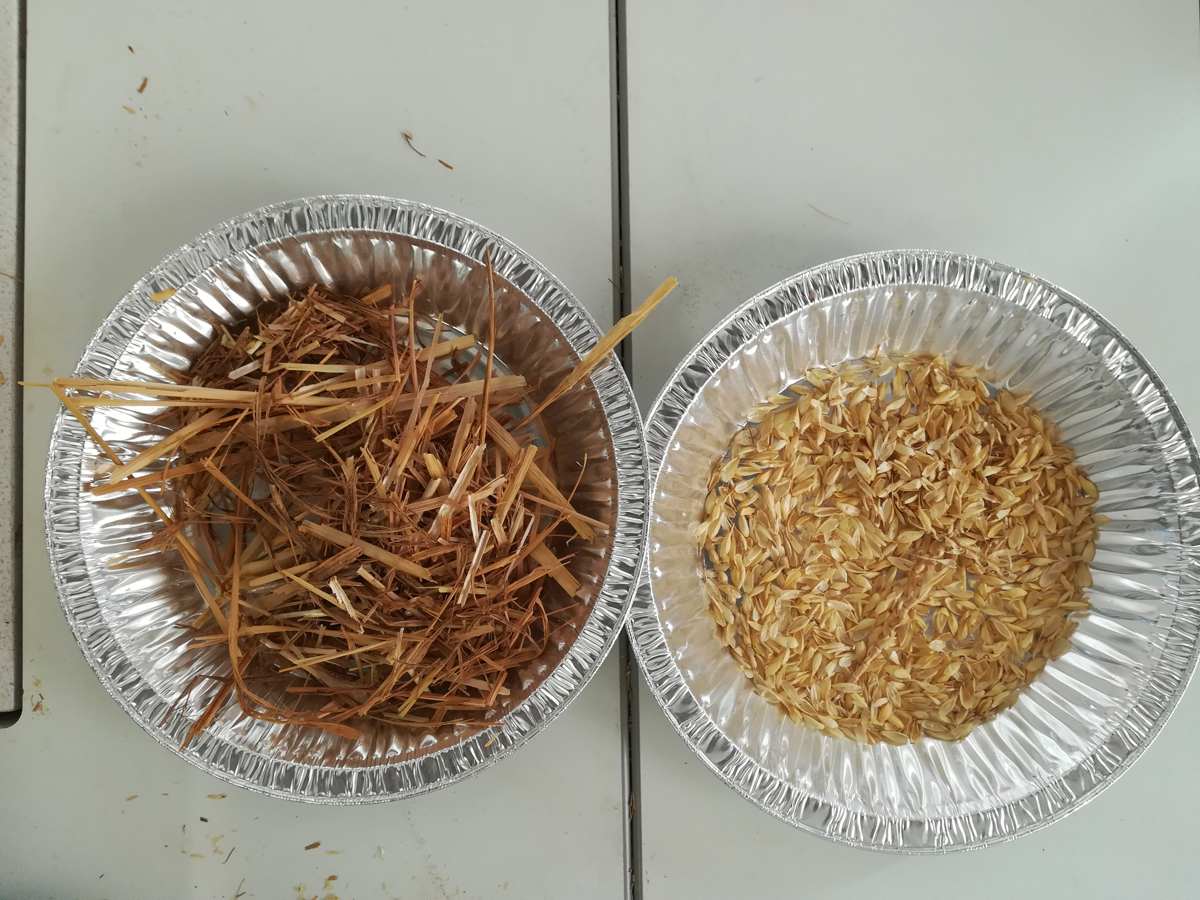 a bowl with straw and a bowl with chaff 