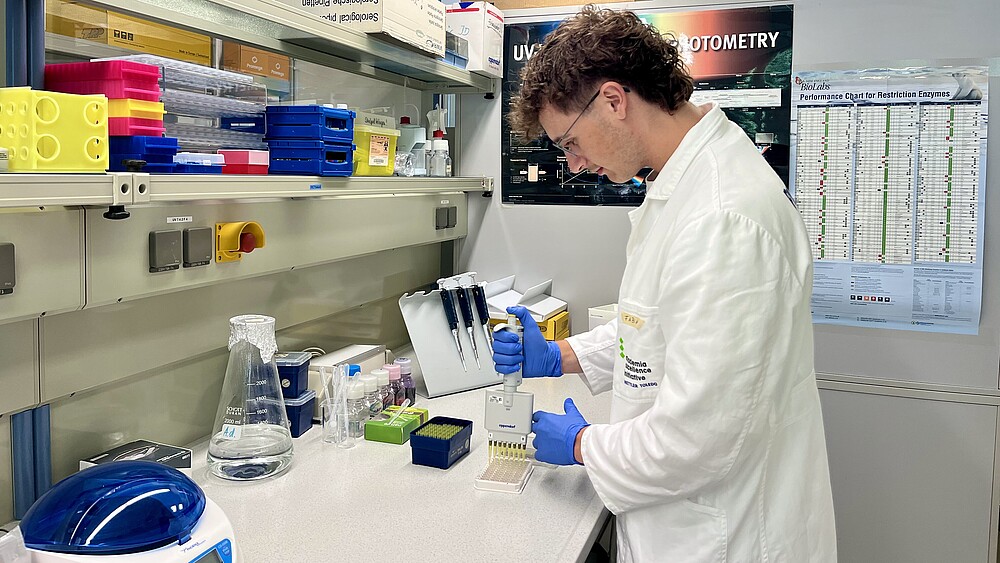 HSZG-Student Fabian Gerlach arbeitet im Labor der Technical University of Denmark mit einer Mehrkanalpipette an einem Forschungsversuch.
